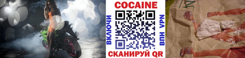 Купить  Лыткарино  COCAIN Fish Scale 