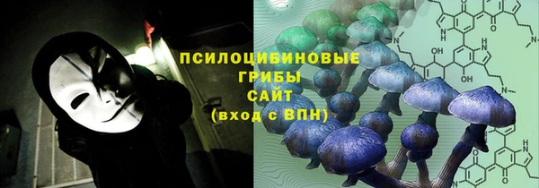 соль ск Аркадак