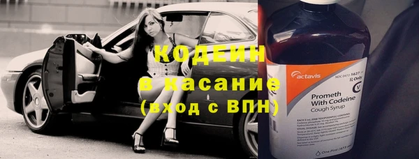хмурый Арсеньев