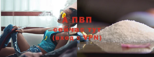 хмурый Арсеньев