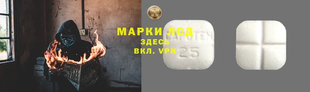 соль ск Аркадак