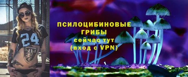 дмт Армянск