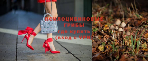 хмурый Арсеньев